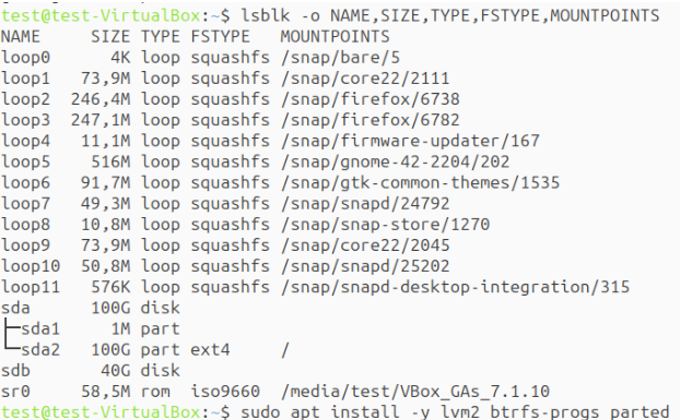 R�sultat de lsblk montrant /dev/sdb