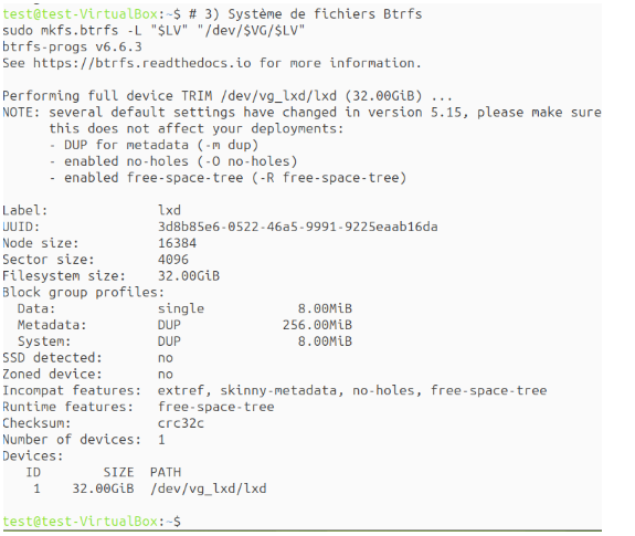Formatage Btrfs du volume logique