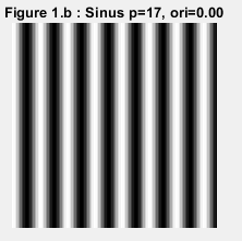 Sinus synthétique